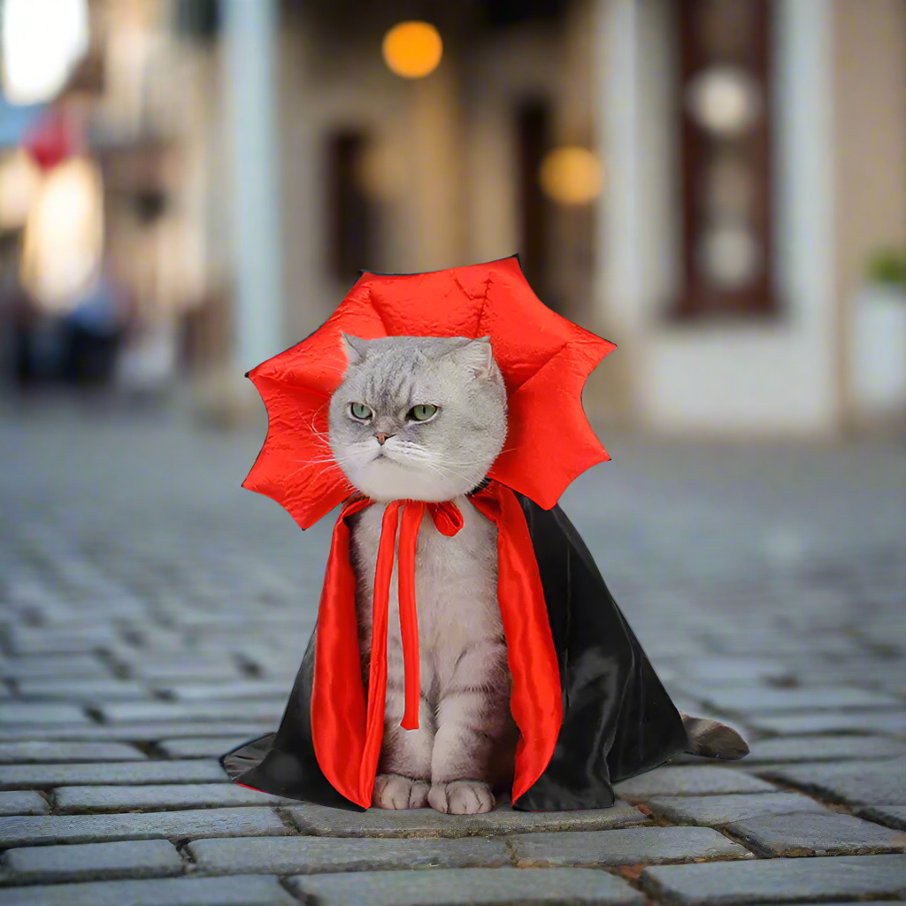 Dracula Pet Costume