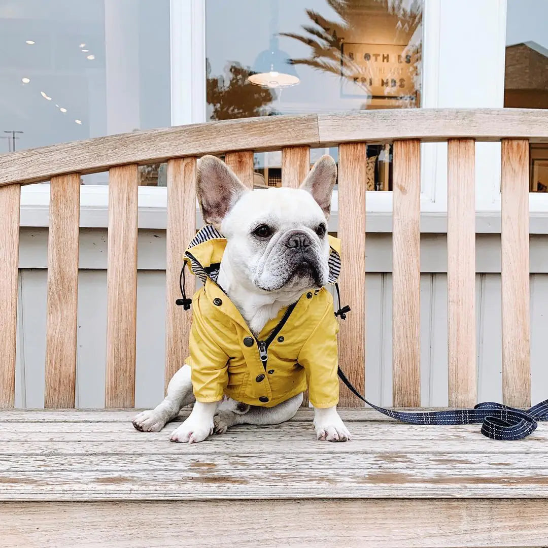 Windproof and Waterproof Raincoat for Pets