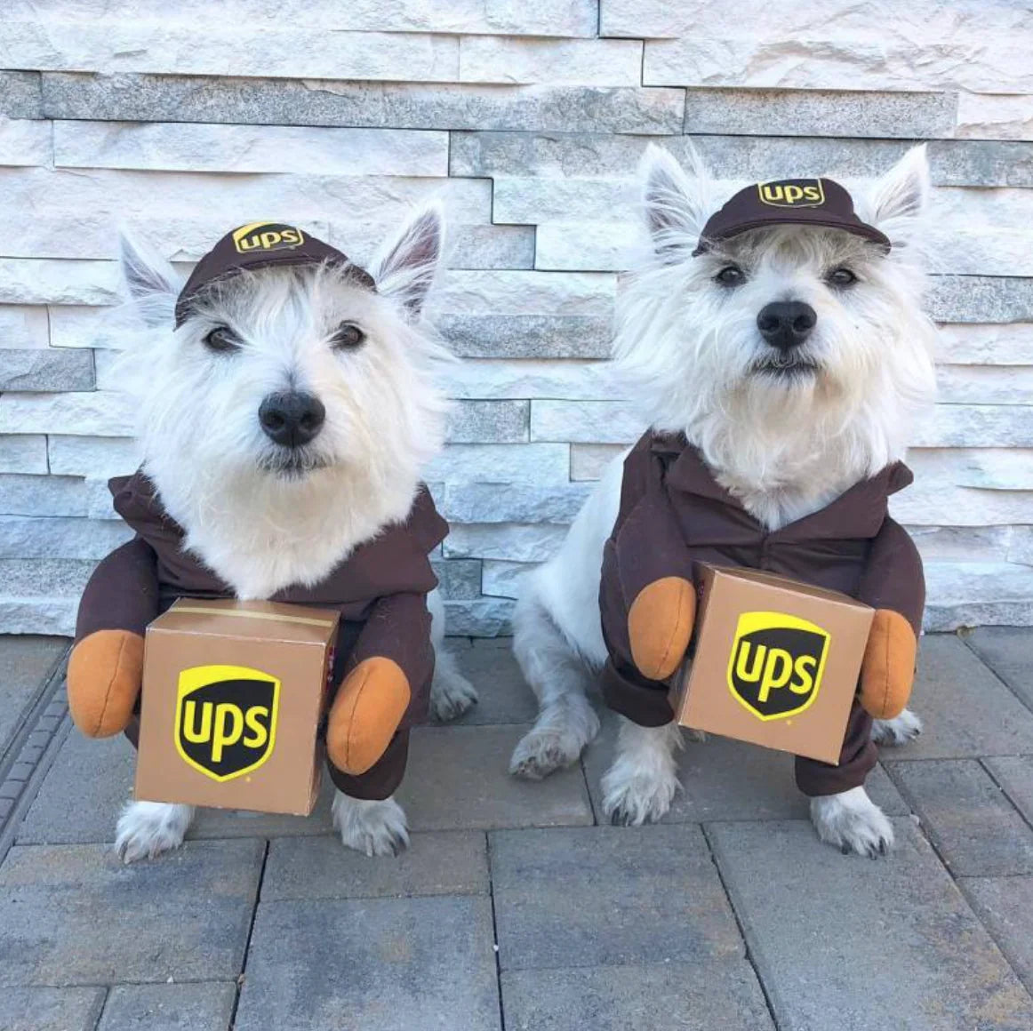 UPS Costume