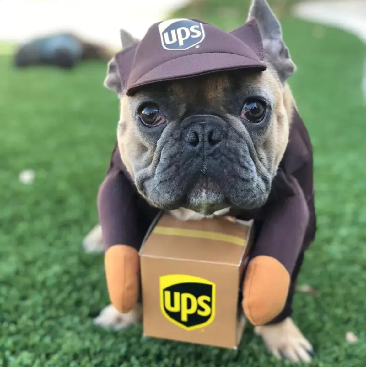 UPS Costume