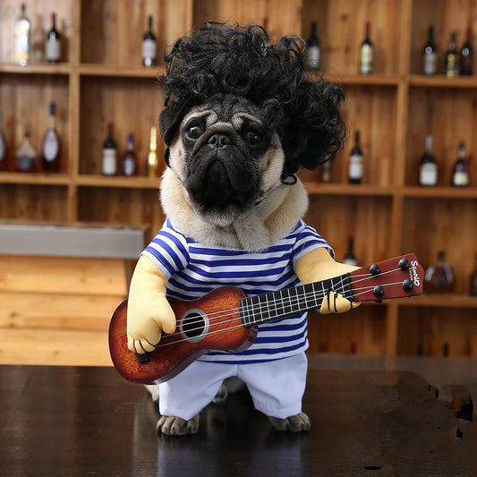 Guitar Player Costume