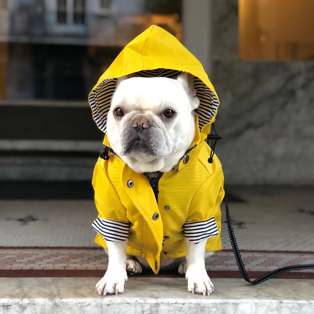 Windproof and Waterproof Raincoat for Pets