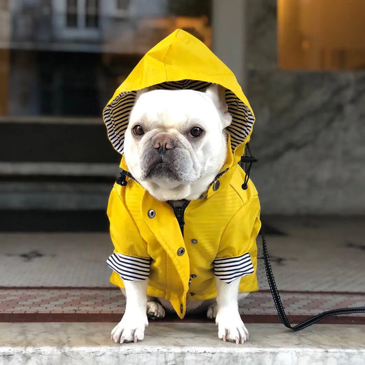 Windproof and Waterproof Raincoat for Pets
