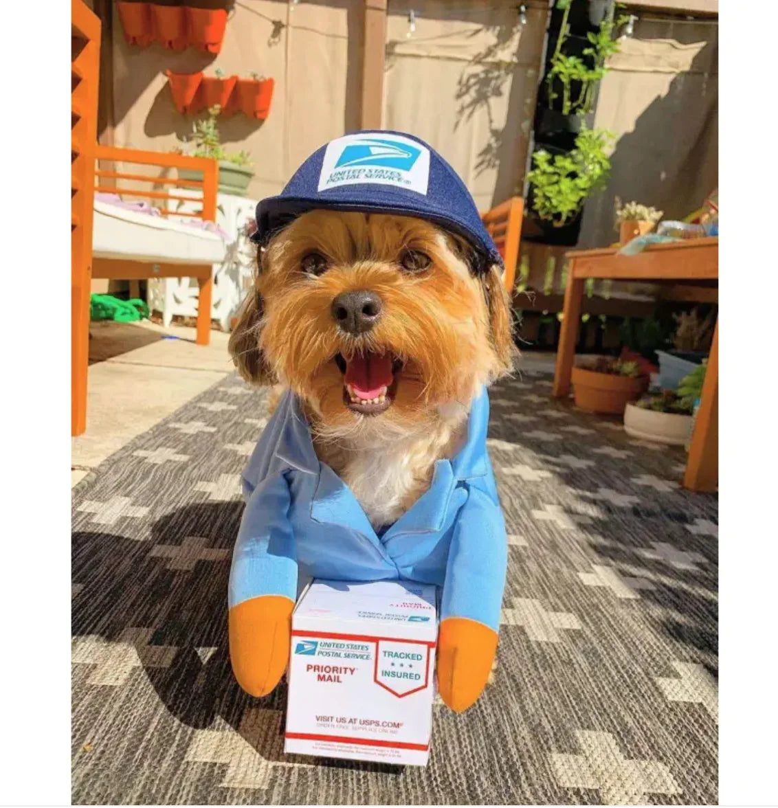 UPS Costume