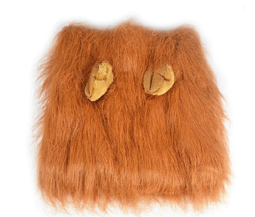 Lion Head Costume