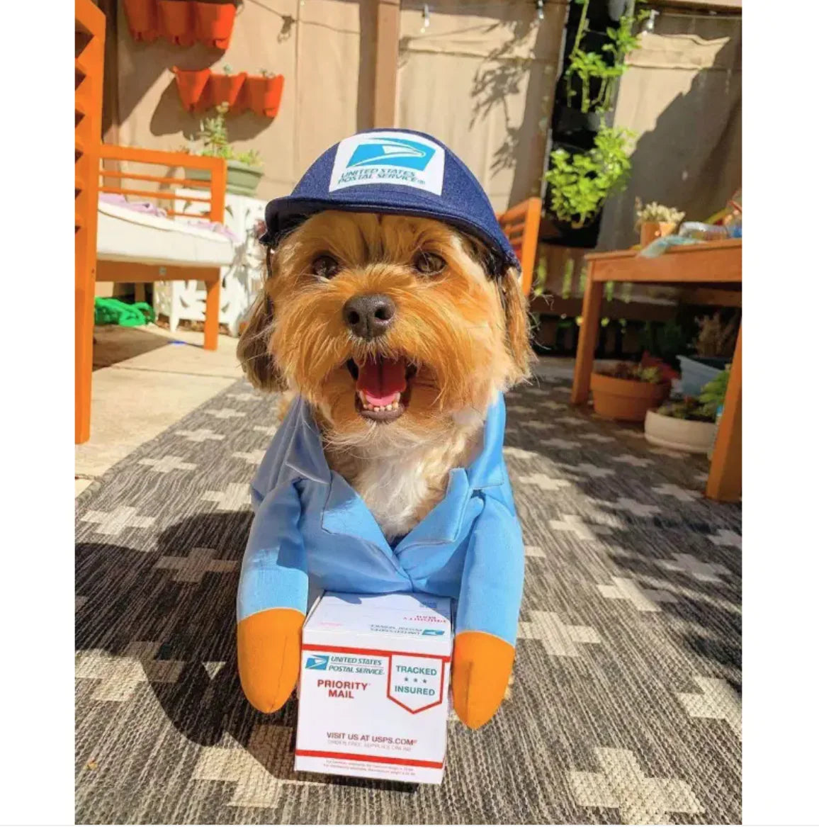 UPS Costume