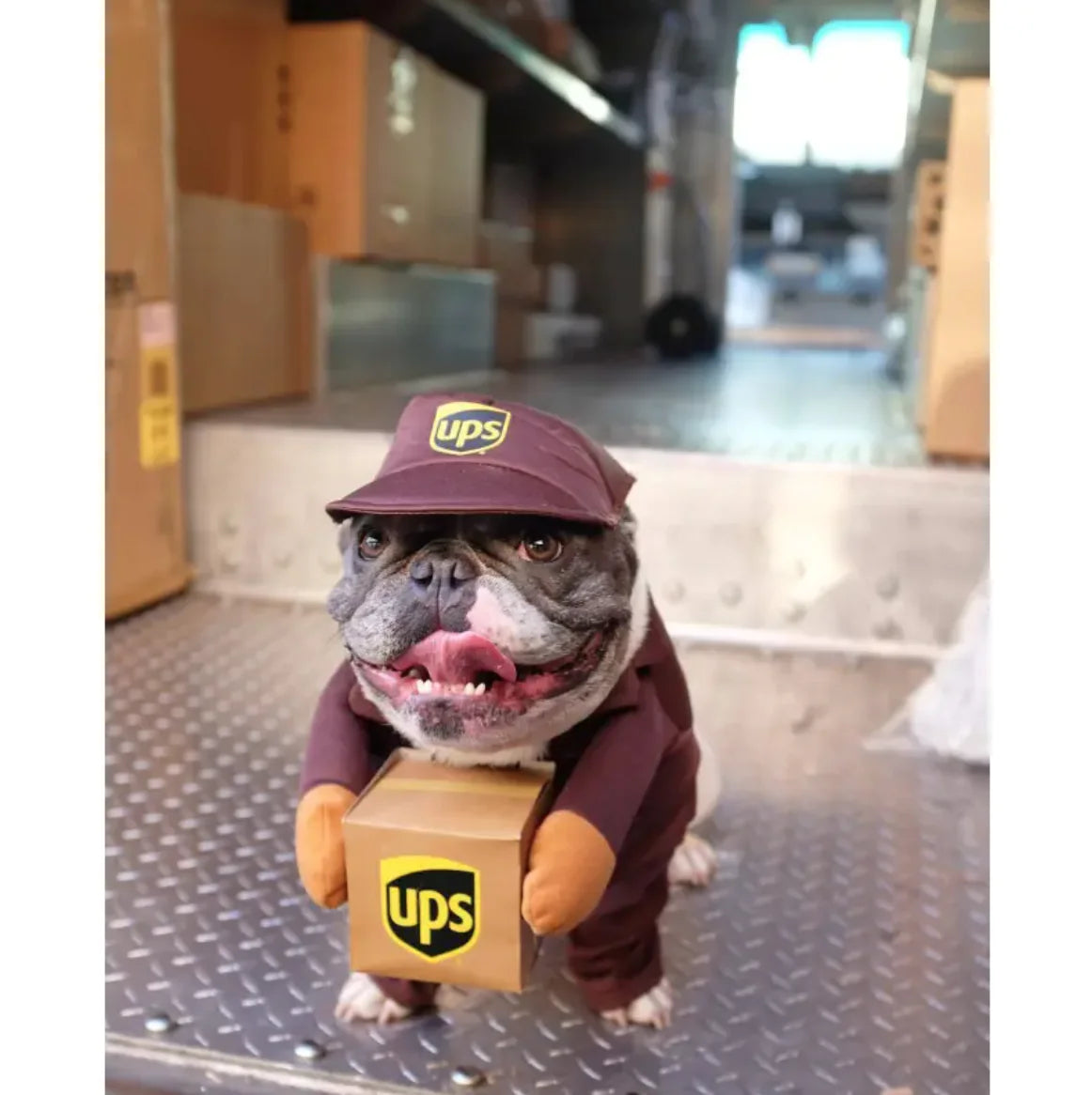 UPS Costume
