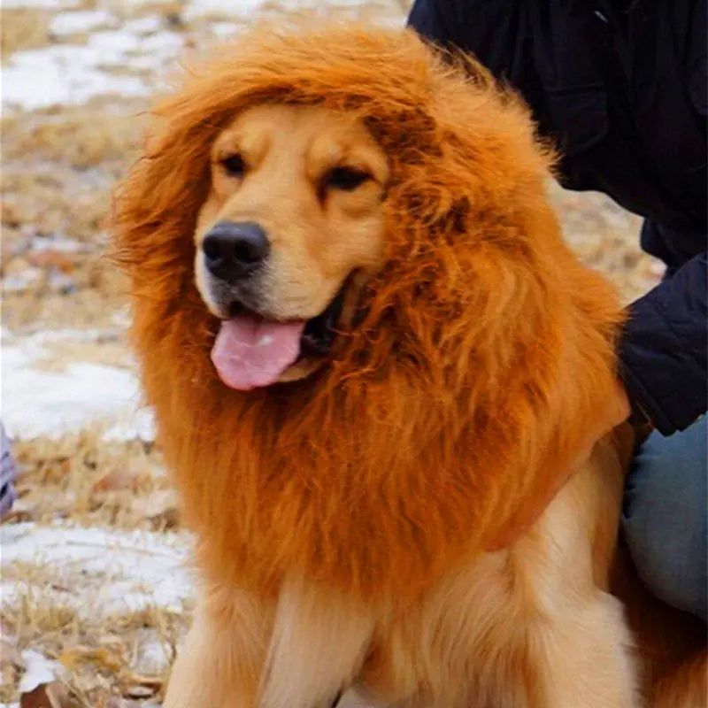 Lion Head Costume