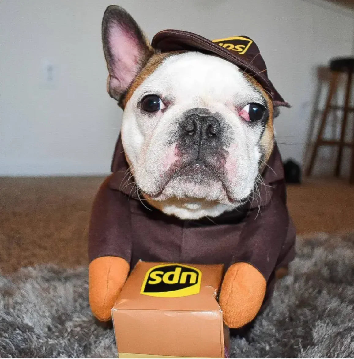 UPS Costume