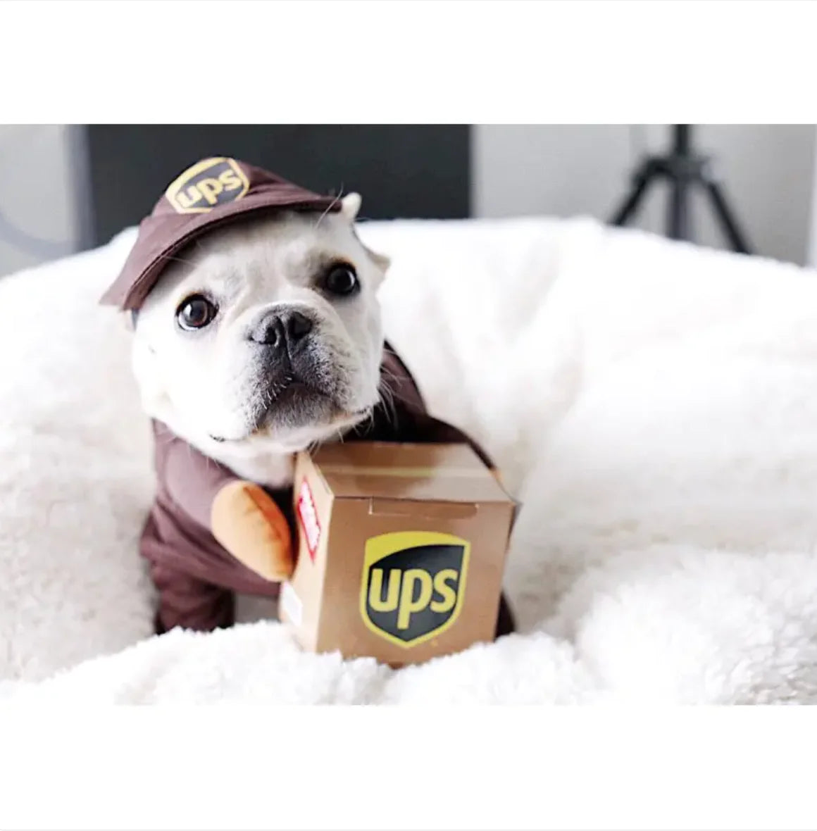 UPS Costume