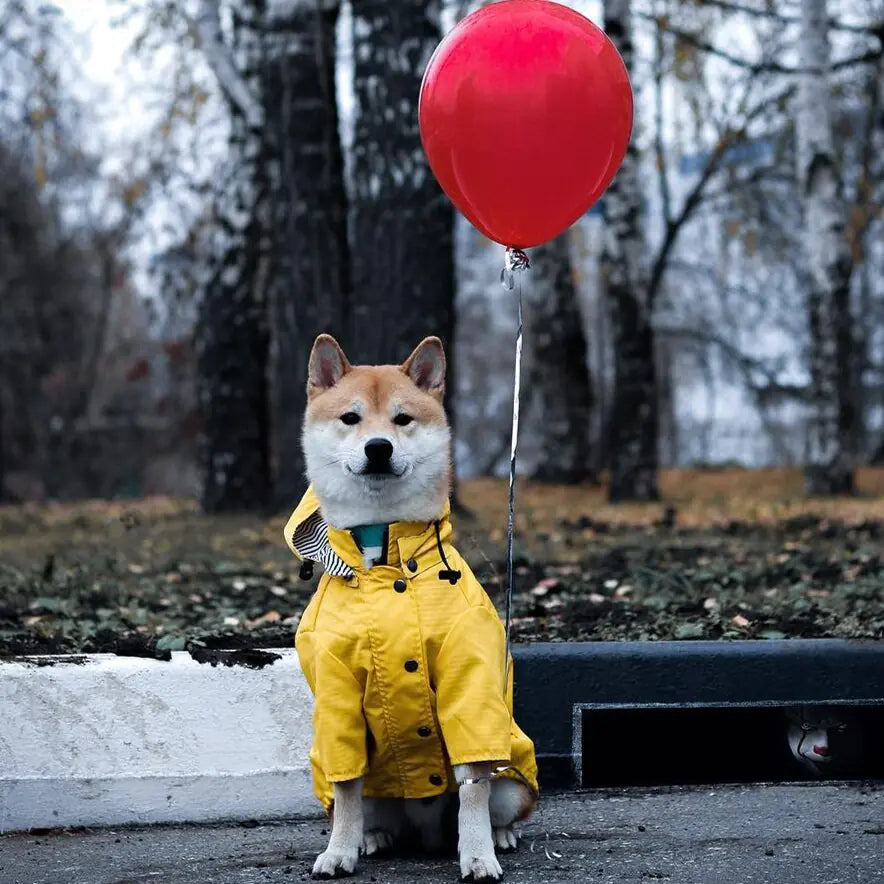 Windproof and Waterproof Raincoat for Pets