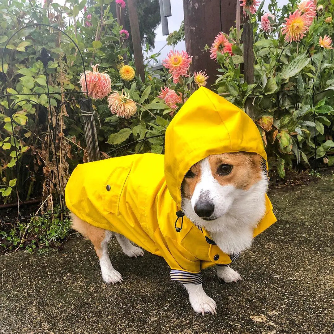 Windproof and Waterproof Raincoat for Pets