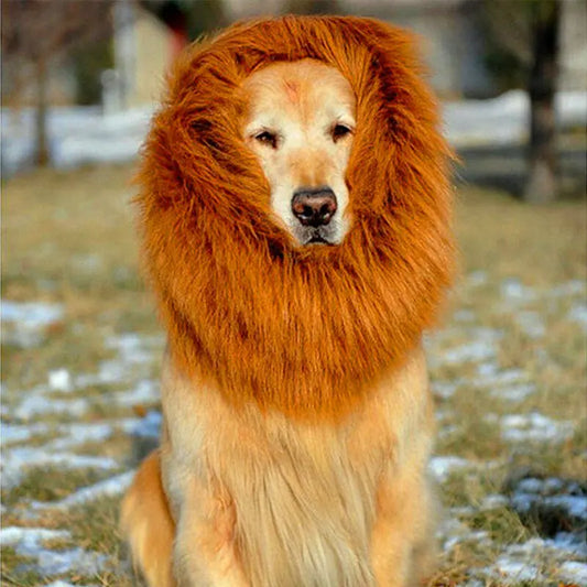 Lion Head Costume