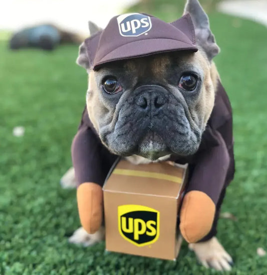 UPS Costume